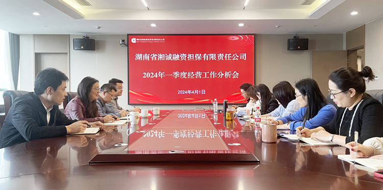 （照片）湘诚担保召开2024年一季度经营工作分析会_副本.jpg