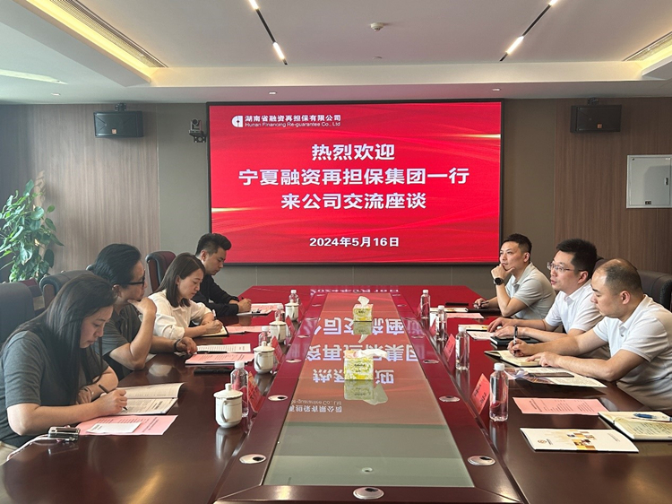 再担保与宁夏再担保交流_副本.jpg